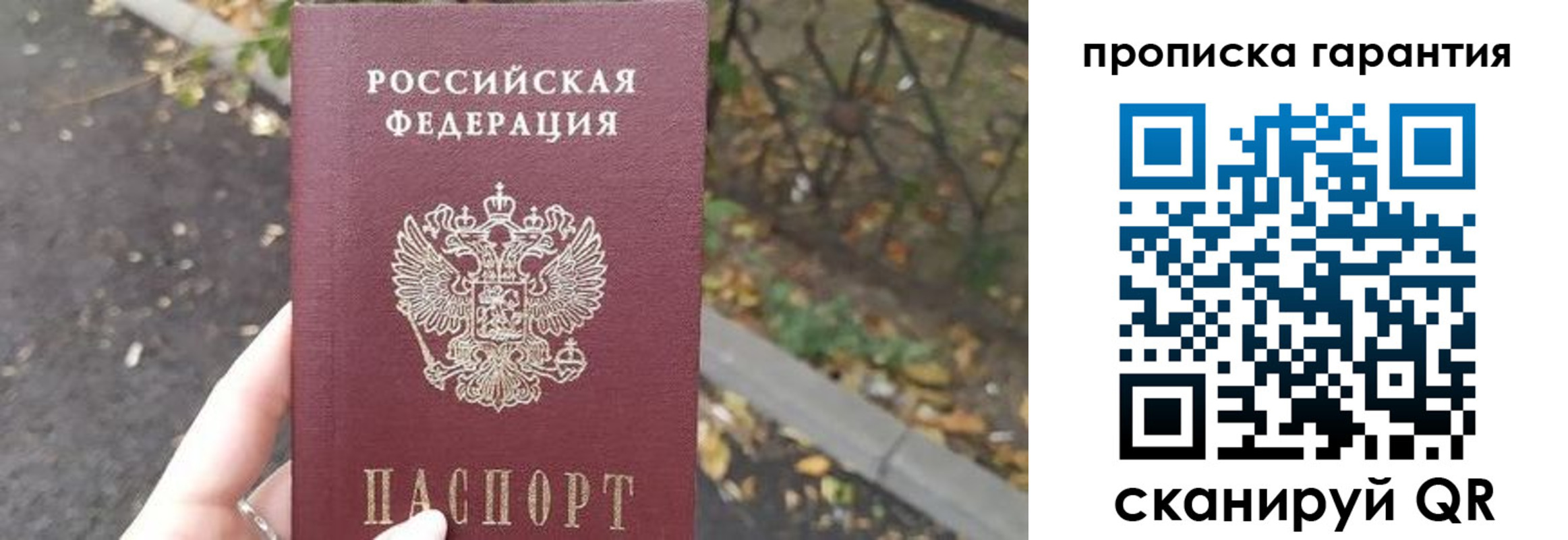 где прописаться в Михайловске